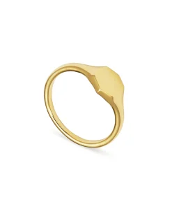 Davis Signet Ring in 18k Gold Vermeil
