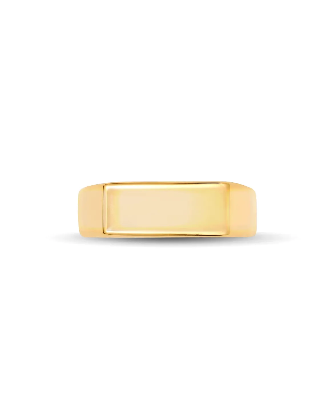 Hudson Signet Ring in 18k Gold Vermeil
