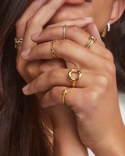 Wren Band Ring in Mixed Metal